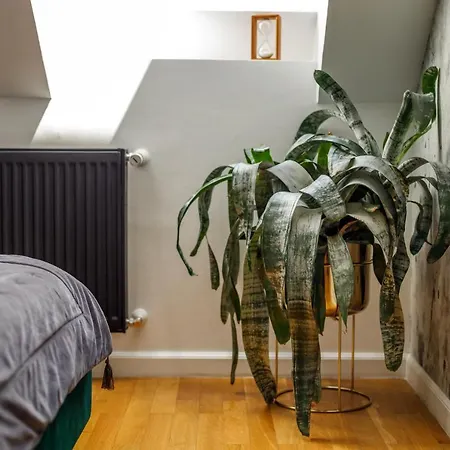 Urban Oasis With Parking Bucarest