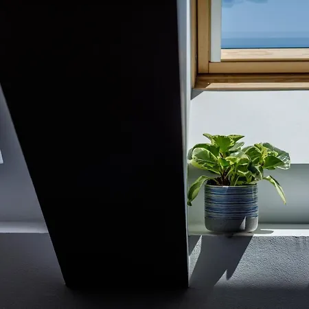 Urban Oasis With Parking *