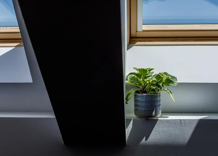 Urban Oasis With Parking *