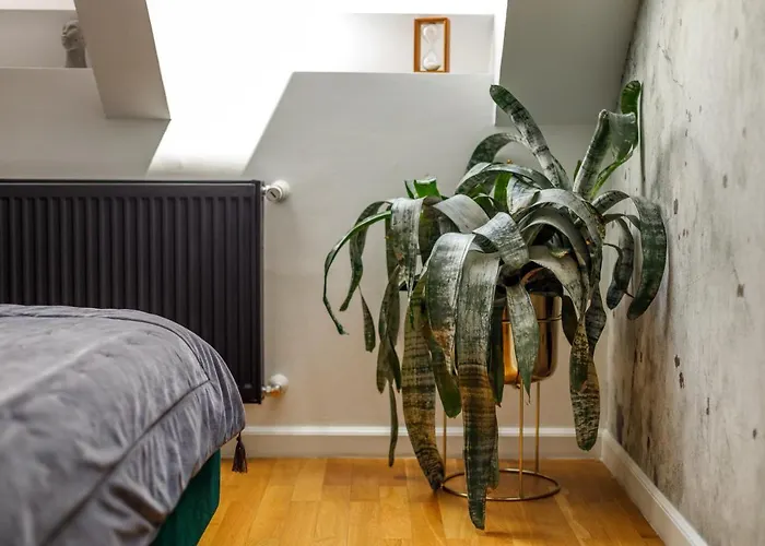 Urban Oasis With Parking Bucharest